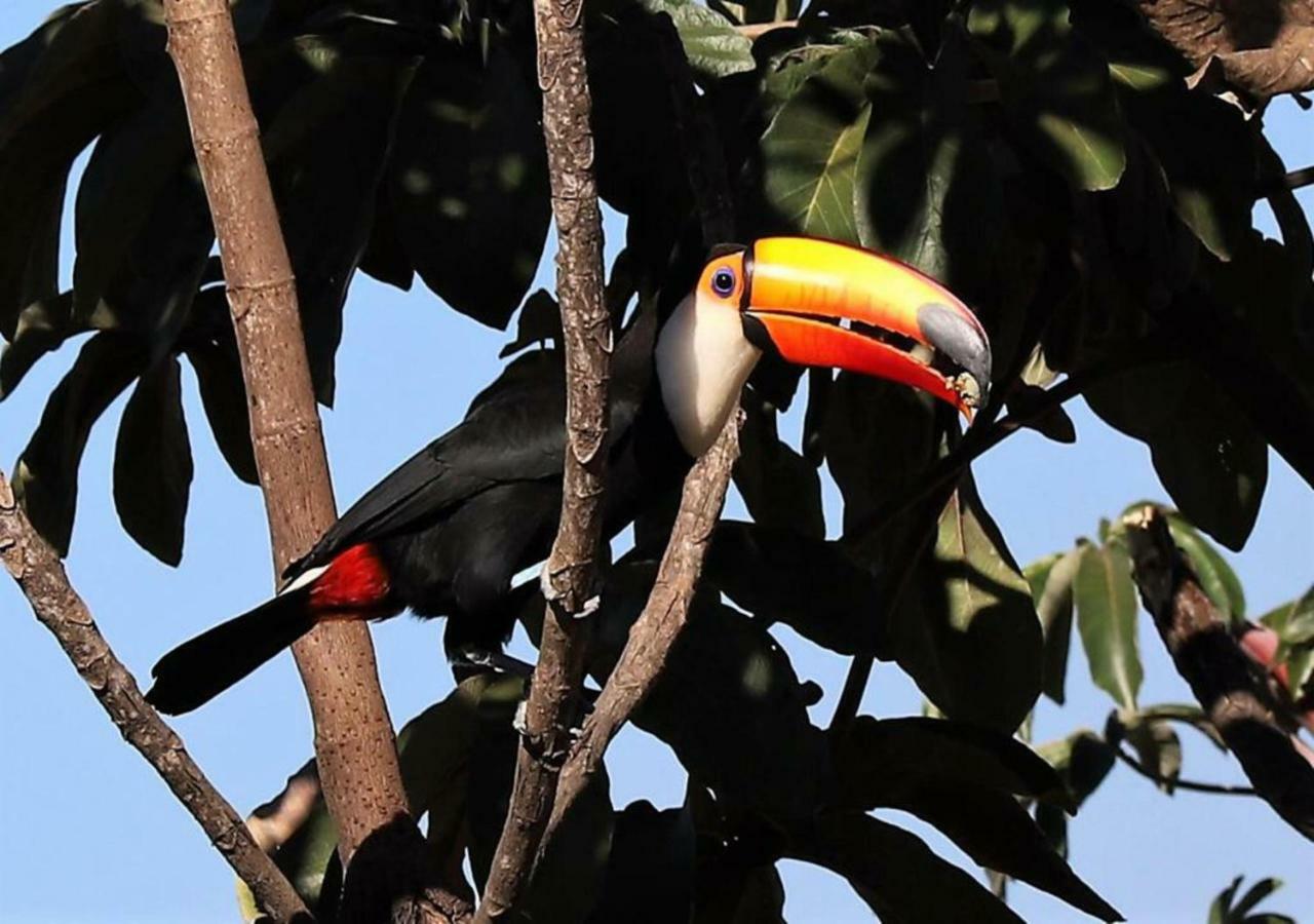 Vila Dos Cristais Alto Paraíso de Goiás 外观 照片