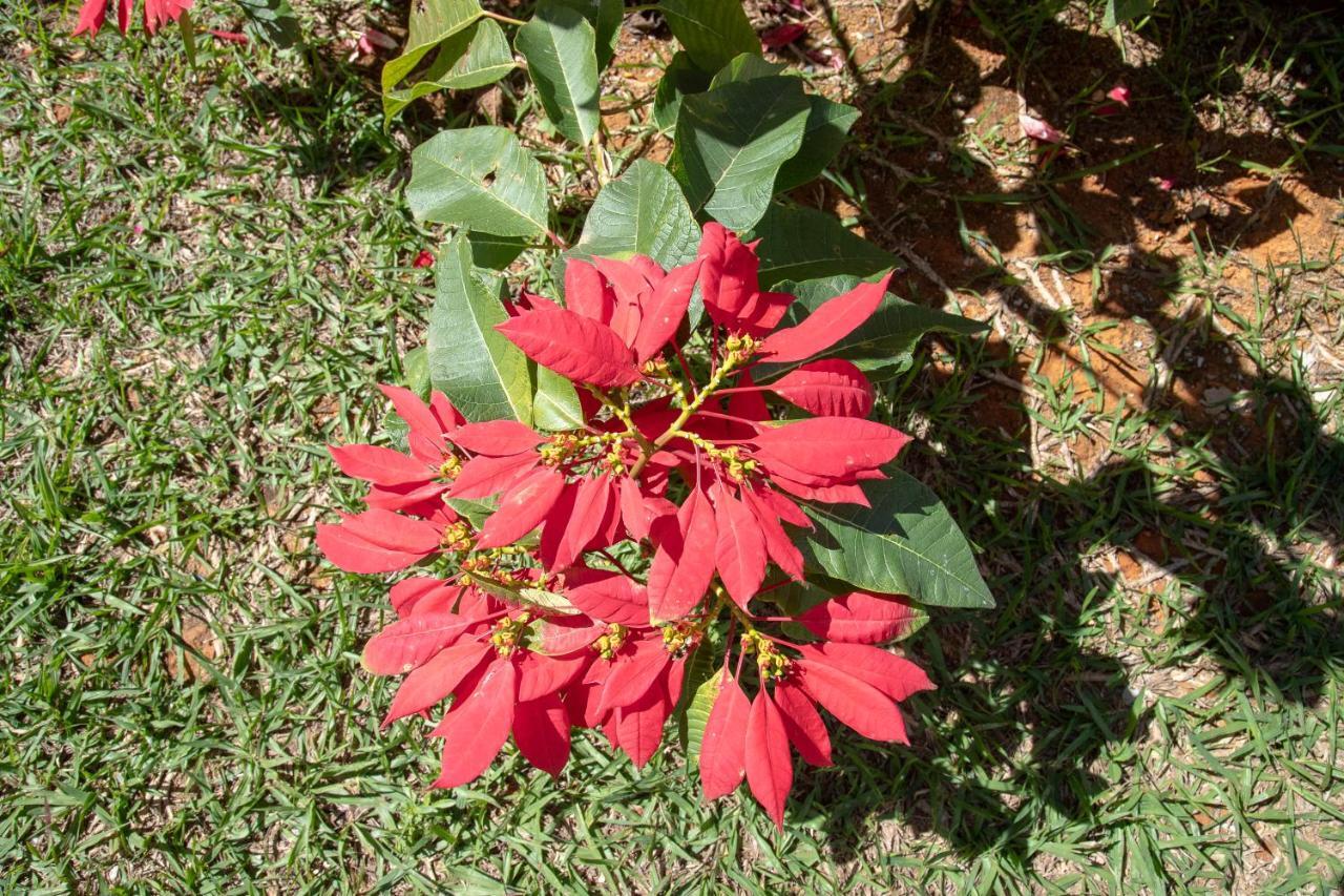 Vila Dos Cristais Alto Paraíso de Goiás 外观 照片